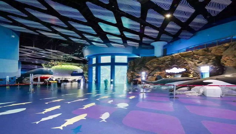 bevictorΰ�¹���-Τ�¹ٷ���վ